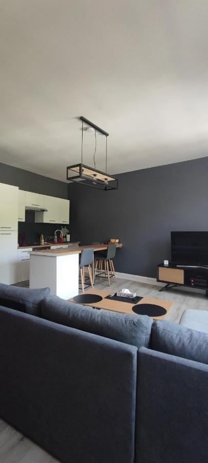 Appartement D'Hippolyte - Vue Musee Rimbaud ชาร์เลอวิลล์-เมซิแยร์ ภายนอก รูปภาพ
