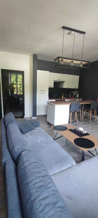 Appartement D'Hippolyte - Vue Musee Rimbaud ชาร์เลอวิลล์-เมซิแยร์ ภายนอก รูปภาพ